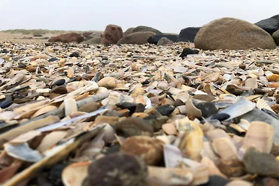 Abgeschiedener Rückzugsort in der Natur