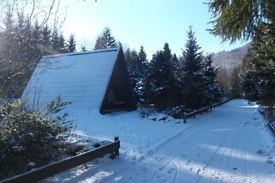 Nurdachferienhaus / Finnhütte "Erika"