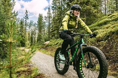 8 Personen Ferienhaus in LOFSDALEN