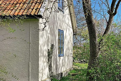 Ruhige Oase im Norden von oland-By Traum