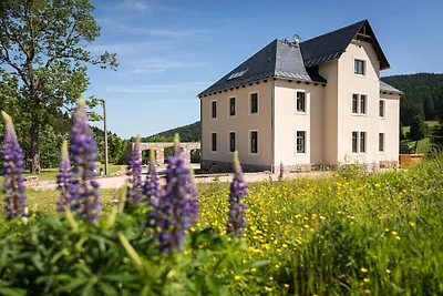 Alte Försterei Wildenthal  - App 5