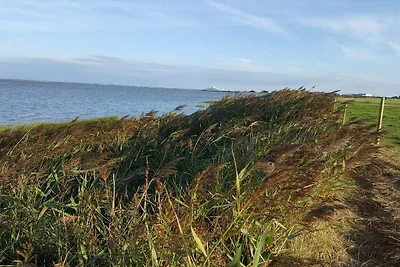 6 persoons vakantie huis in Rømø