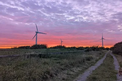 2 persoons vakantie huis in FALKENBERG-By...