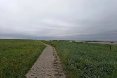 Doppelhaushälfte in Dornumersiel