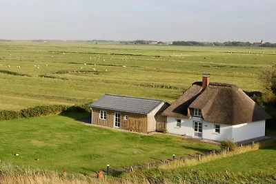 Ferienhaus mit 3 Schlafzimmer