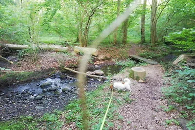 4 sterren vakantie huis in Hornsyld