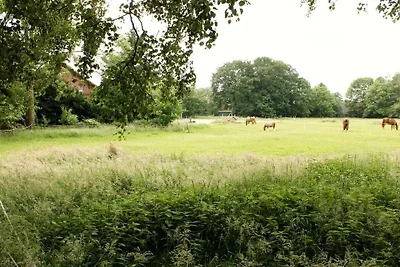 Begane grond Hofmann Comfortabele...