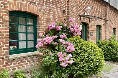 Ferienhaus Arrild "Kuhstall"