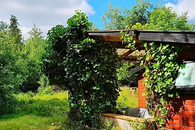 4 Personen Ferienhaus in Vig-By Traum
