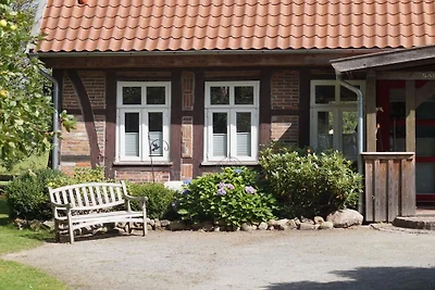 Ferienhaus Oertzeparadies