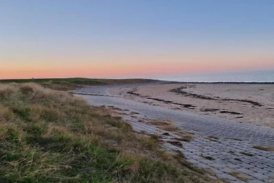 Schönes Chalet mit Büro in Zeeland
