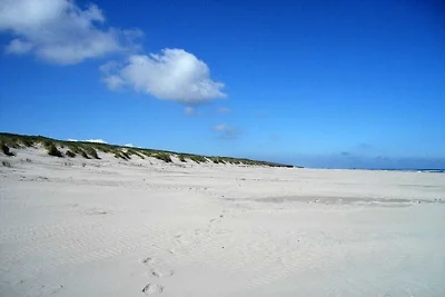 Ferienhaus in Juist mit Schwimmbecken