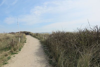 Schlafstrandhaus am Strand von Dishoek