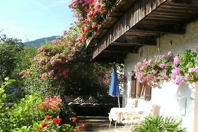 Ferienwohnung mit 1 Schlafzimmer