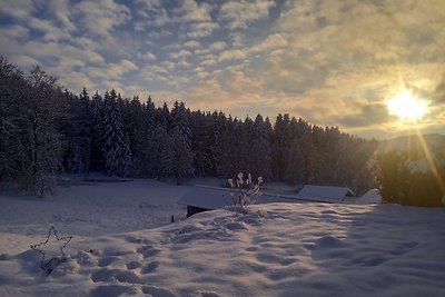 Appartamento con una fantastica terrazza