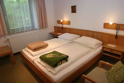 Gemütliches Apartment nahe Skigebiet in Bad...