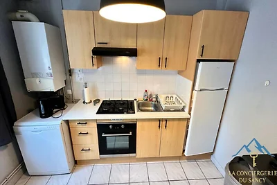 Apartment in Mont-Dore in der Nähe der Skipis...