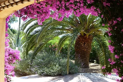 Villa in Les Issambres mit Schwimmbecken