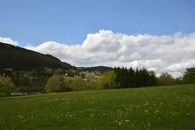 Appartamento a Zendscheid vicino alla foresta