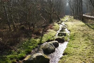 Rustiek huisje met open haard