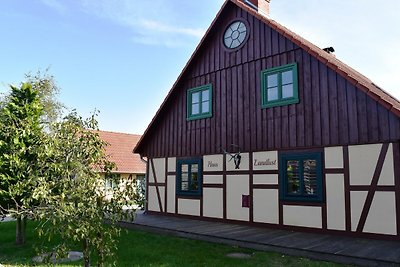 Stijlvol vakantiehuis in Wendorf