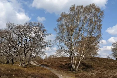 8 osob apartament w Gjern-By Traum