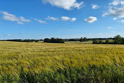 5 persone case ad Hejls-By Traum