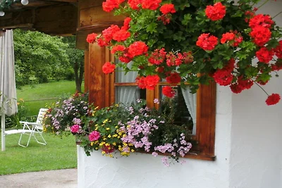 Ferienwohnung mit 1 Schlafzimmer