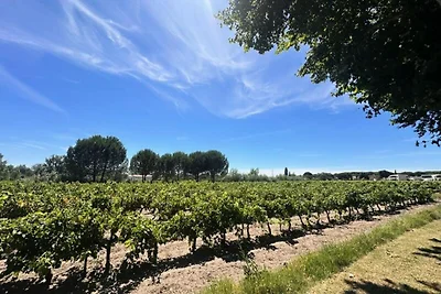 Bauernhaus in Aigues-Mortes am Strand