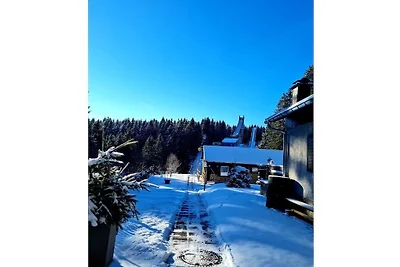 Au tremplin de saut à ski des monts...