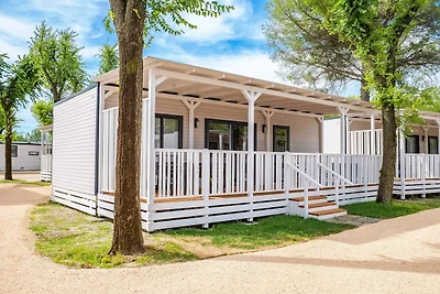 Tenuta Primero Grado Family Collection