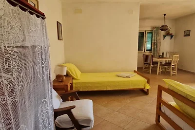Apartments Stiniva Hvar - Studio Apartment Wi...