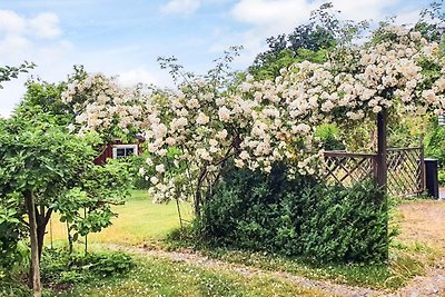 4 Sterne Ferienhaus in RONNEBY