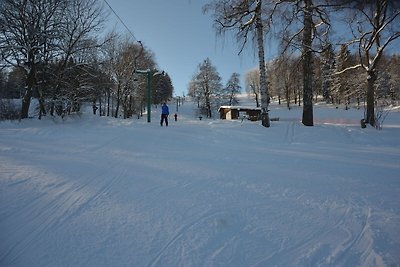 Gemütliches Chalet mit Garten in Malá Skála