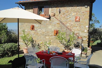 Bauernhaus in Castelfranco di Sopra mit...