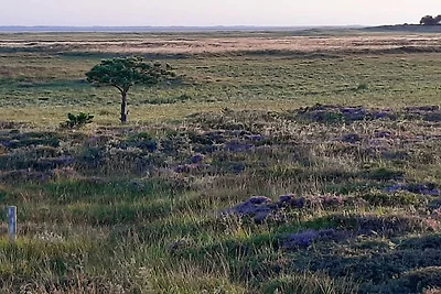 Exklusives Golfblick-Ruckzug