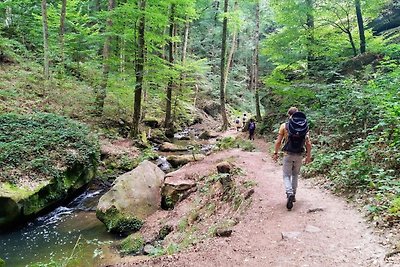 Schöne Zeltlodge auf einem Campingplatz