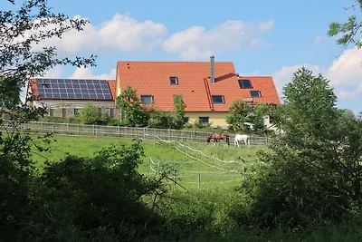 Stelzenmühle Reichelsburgblick