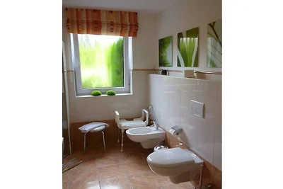Vakantieappartement met 1 slaapkamer