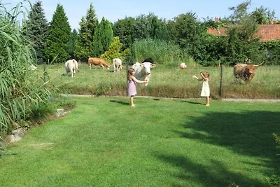 Stein - Wohnung Spreewald