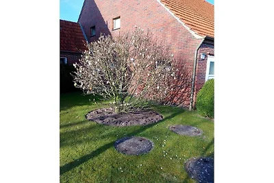 "Granja de verduras Röben"