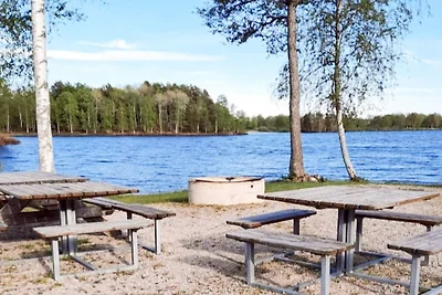 4 Sterne Ferienhaus in Holmsjö