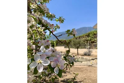 Appartamento per vacanze a Lana con piscina