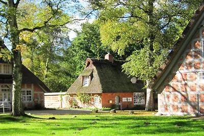 Große Gartenwohnung