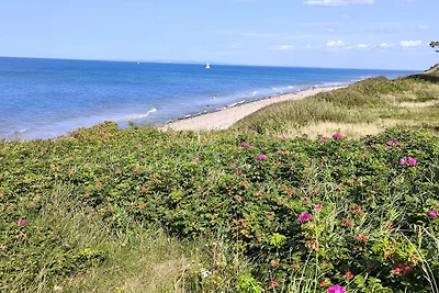 6 Personen Ferienhaus in Gilleleje-By Traum