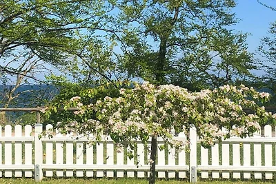 Oostelijkste klifkust, direct aan zee, appart...