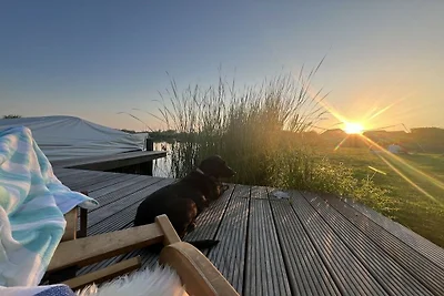 Ferienhaus in Makkum mit Barbecue