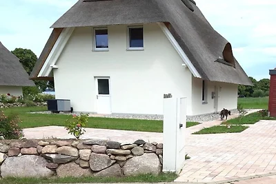 Haus 08 - Seeblick
