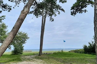 Kustsereniteit in Vejlby Fed-By Traum