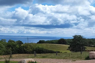 8 Personen Ferienhaus in Bjert-By Traum